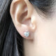 Heart Moissanite Diamond Earrings